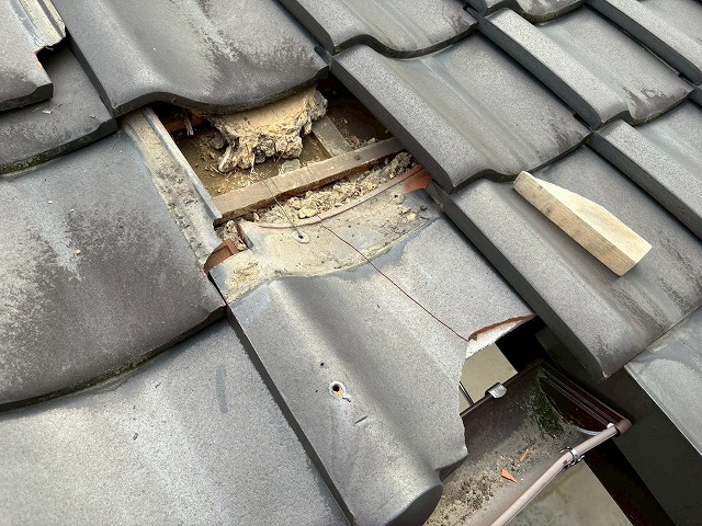 破損した瓦の放置は厳禁